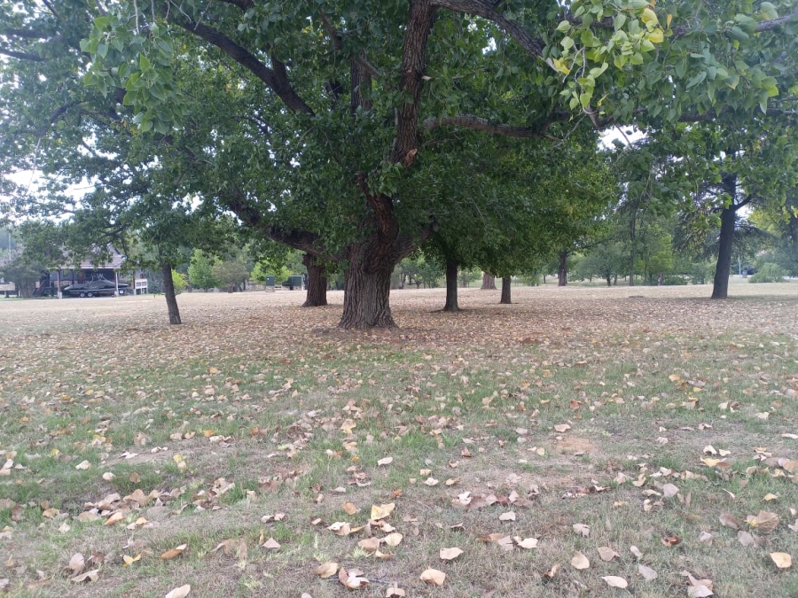 0 Bedroom Property for Sale in Willow Creek Riverfront Residential Estate Free State